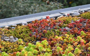 the cost of Great Witchingham green roof installation
