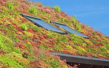 Great Witchingham living roof systems